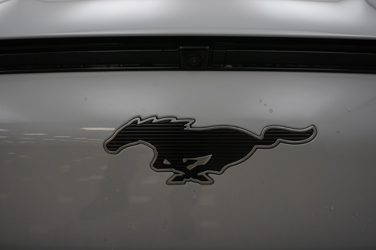 Ford Mustang Mach-E LR AWD 100% rafbíll