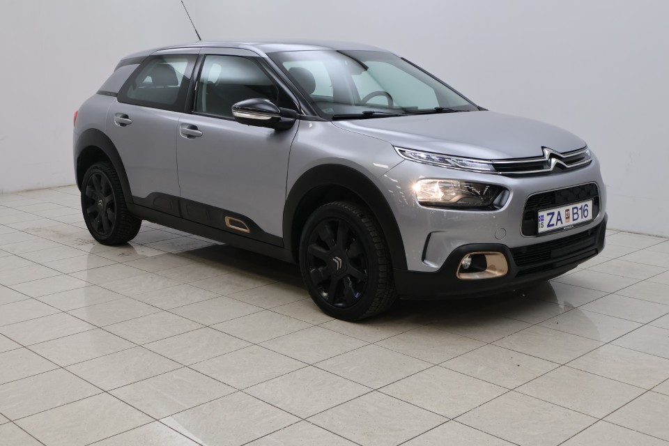 Citroen C4 Cactus Origins